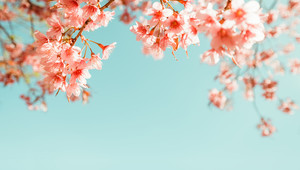 spring