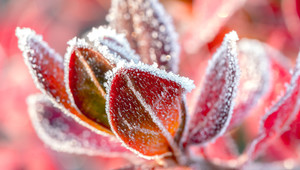 hiver