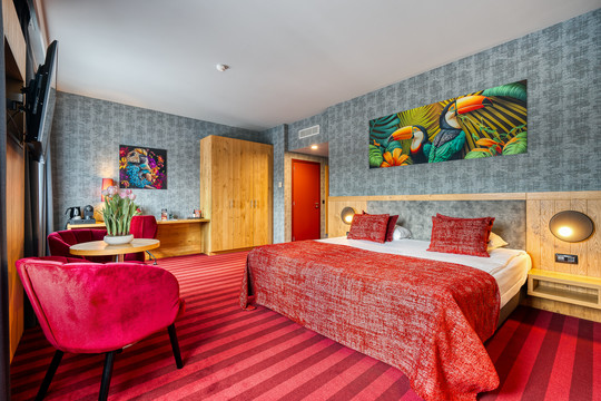 Standard Double room - Verviers