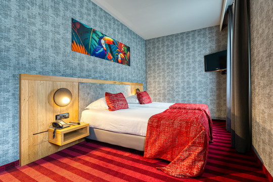 Standard Twin room - Verviers